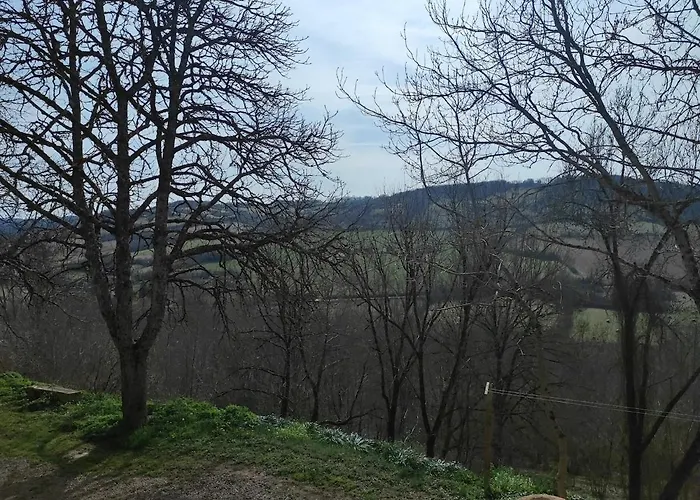 Maison Cordaise 6 Personnes * Cordes-sur-Ciel